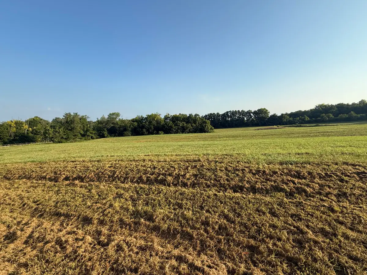 131 Hyde Park Lane, Georgetown, KY 40324 - Image #1