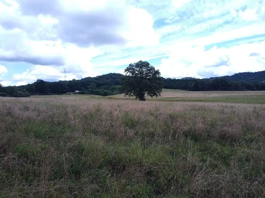 460 Skaggs Road, Morehead, KY 40351 - Image #2