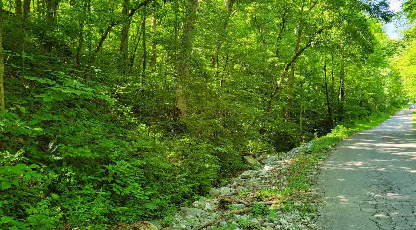 888 Hazel Patch Road, East Bernstadt, KY 40729 - Image #2