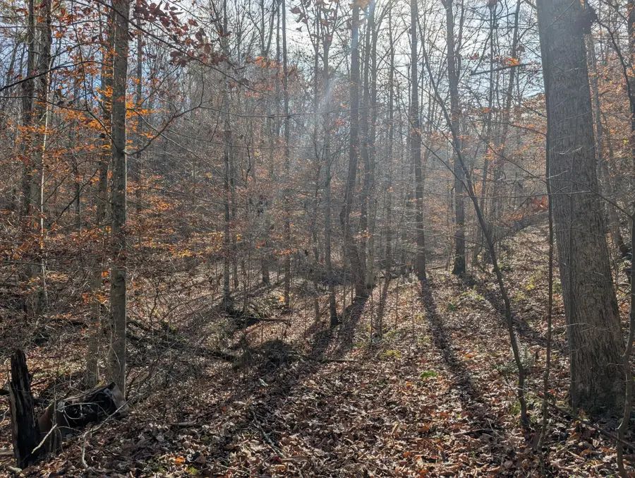 0 Hatton Creek Road, Stanton, KY 40380 - Image #2