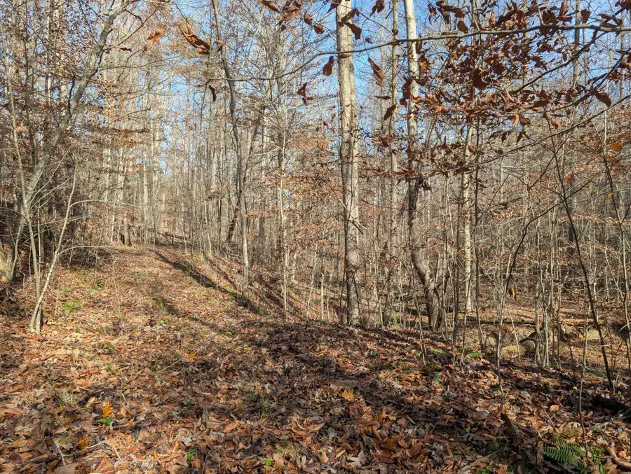 0 Hatton Creek Road, Stanton, KY 40380 - Image #3