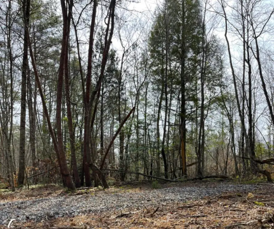 Tract Shadow Ridge, Williamsburg, KY 40769 - Image #3