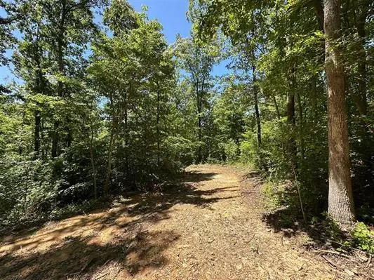 01 Riverside Benleo Road, Bowling Green, KY 42101 - Image #1