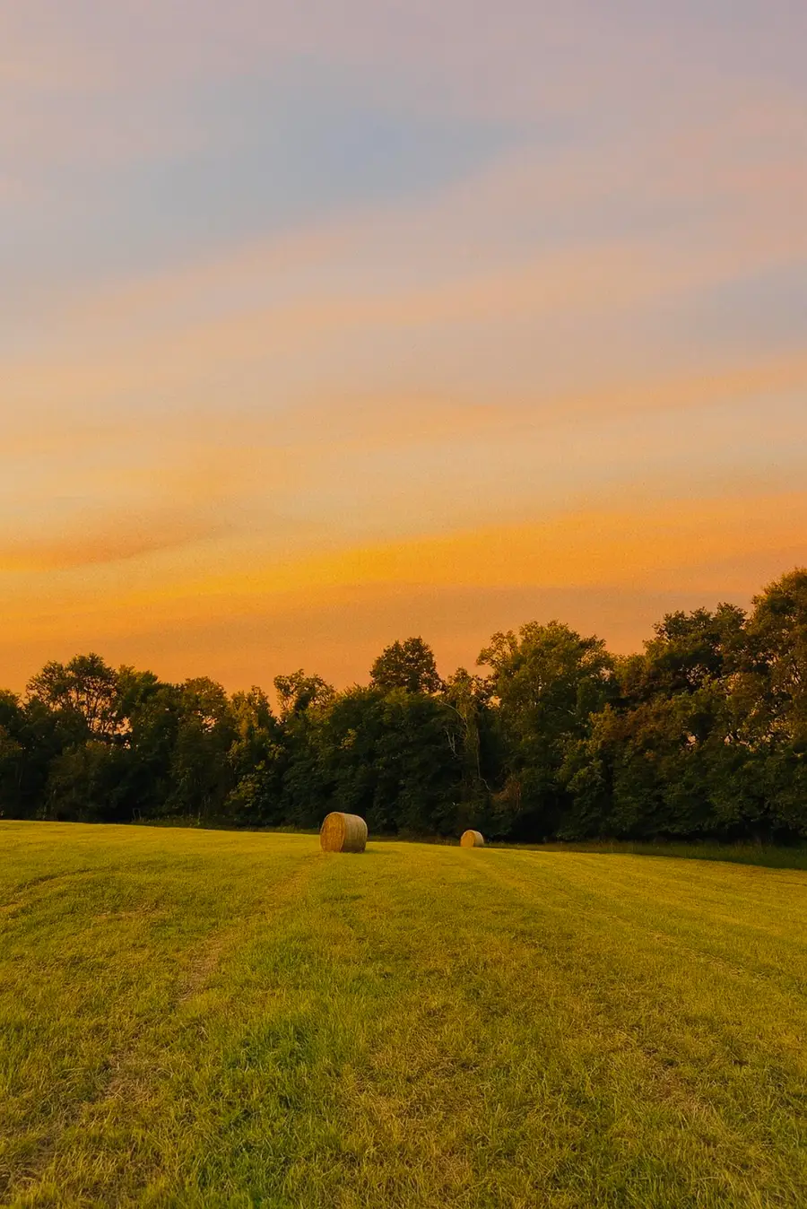 2112 Foster Drive, Willisburg, KY 40078 - Image #2