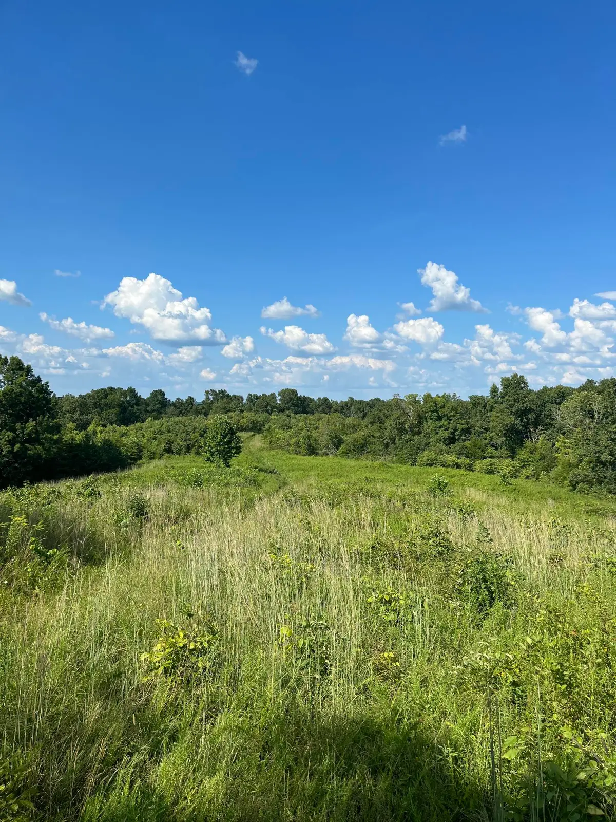 0 County Line Road, Columbia, KY 42728 - Image #1