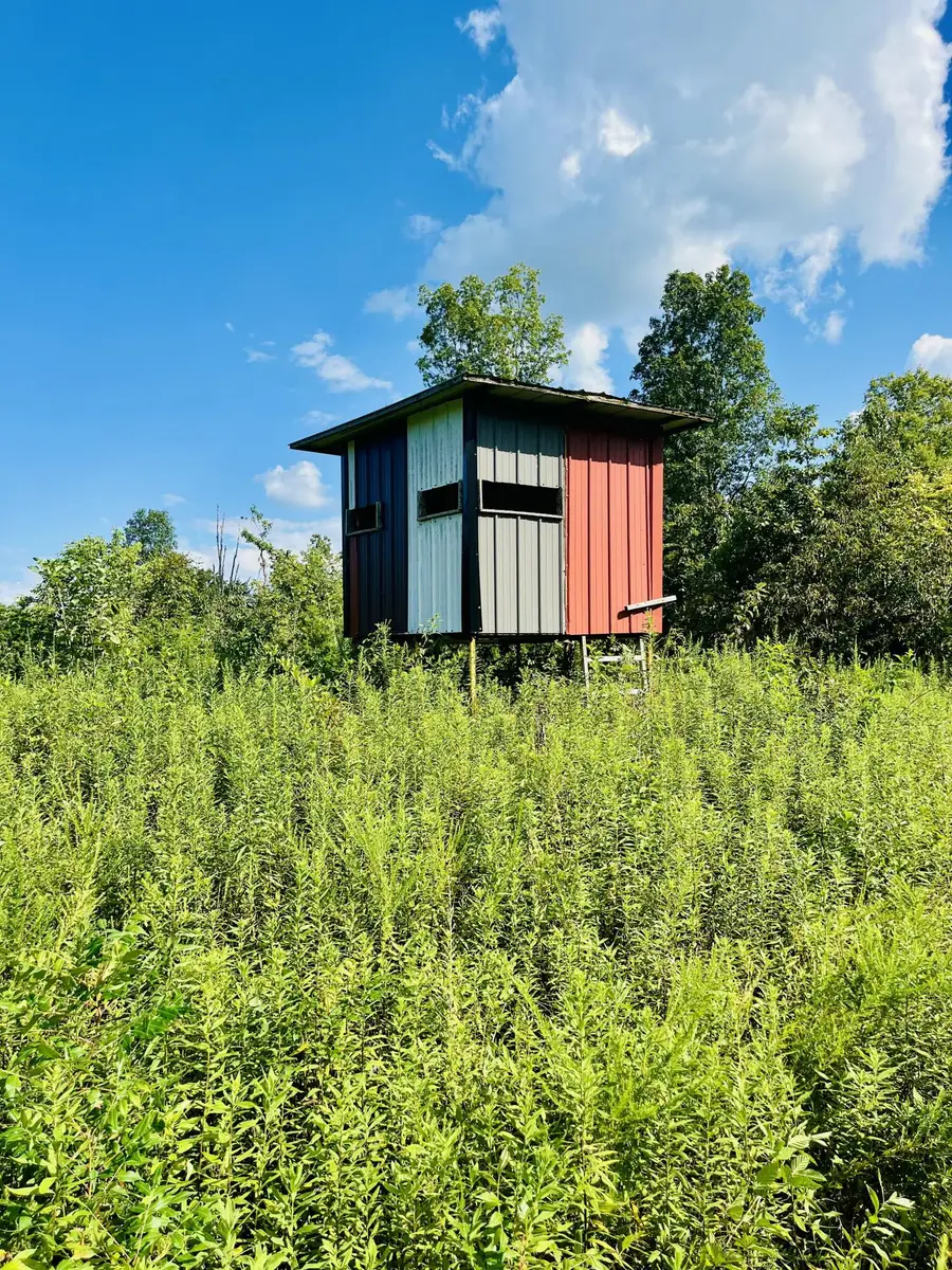 0 County Line Road, Columbia, KY 42728 - Image #3