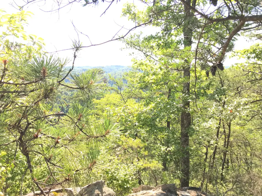 0 South Fork, Stanton, KY 40380 - Image #3