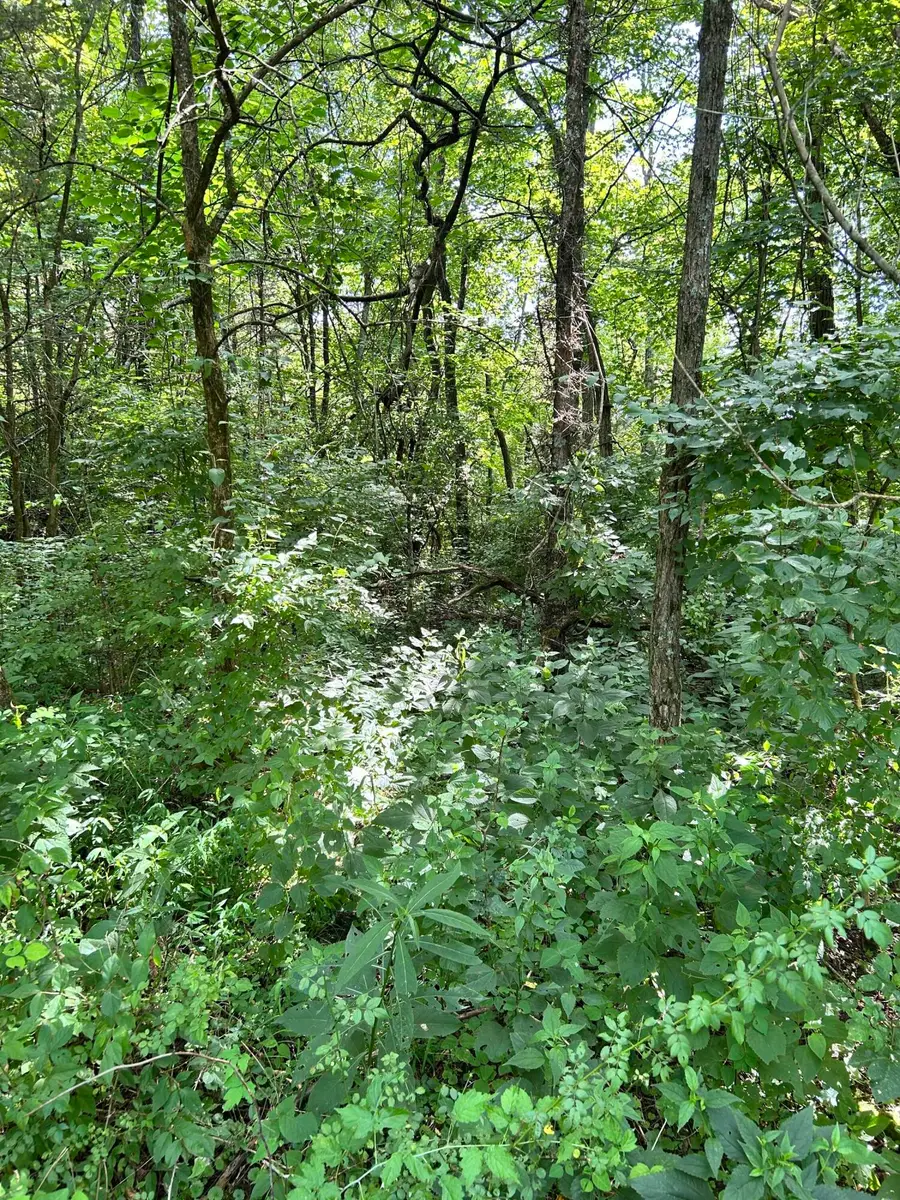 2184 Shadrick Ferry Road, Frankfort, KY 40601 - Image #3