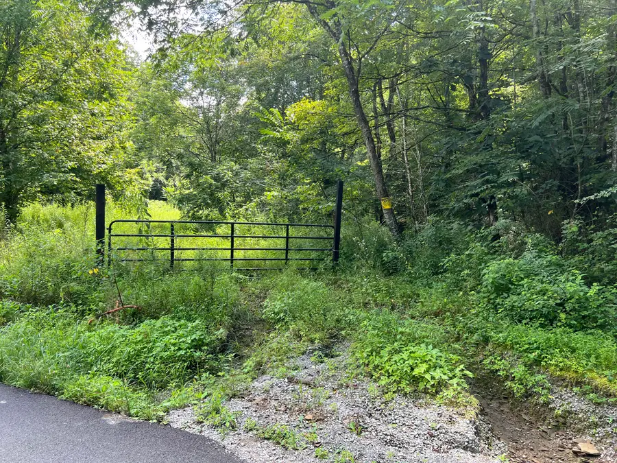 0 Woolum Disappointment Hollow Road, Girdler, KY 40943 - Image #3