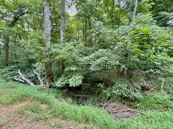 2341 Old Zula Road, Monticello, KY 42633