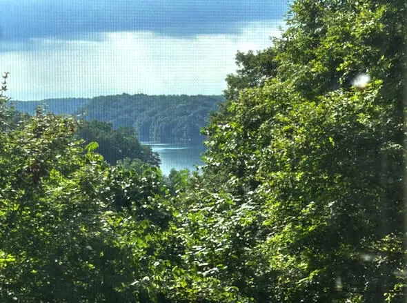 139 Payton Place Lane, Jamestown, KY 42629 - Image #3