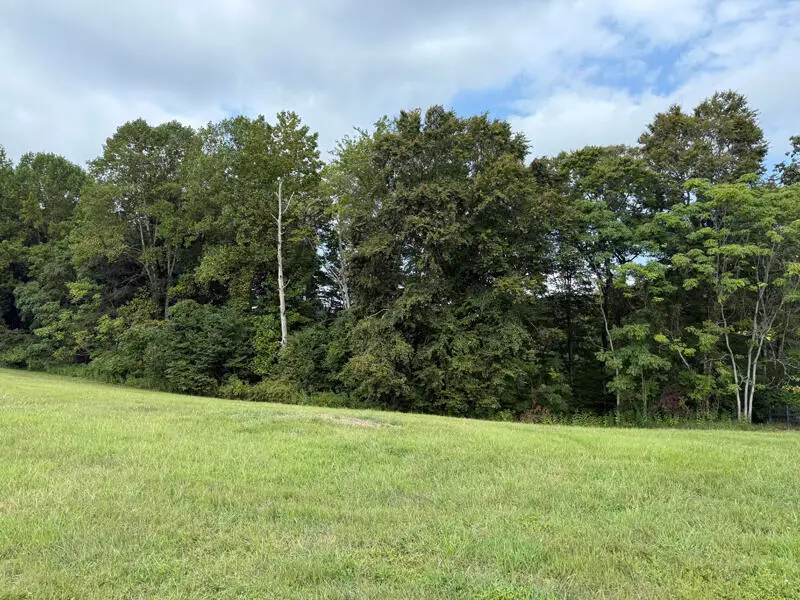 Lot 92 Stillwater, Russell Springs, KY 42642 - Image #1