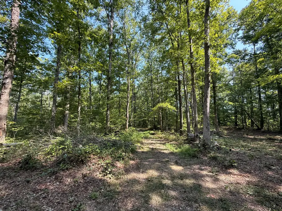 Tract 10 Rawlings Road, Manchester, KY 40962 - Image #2