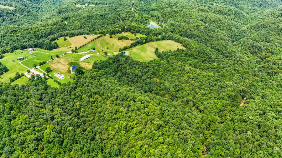 5119 Shoemaker Ridge Ridge, Zoe, KY 41397 - Image #3