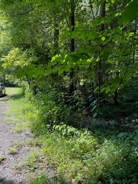 35-36 Bird Lane, Burnside, KY 42519 - #3