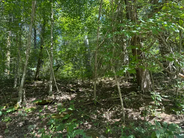 1590 Crooked Creek Road, Lawrenceburg, KY 40342