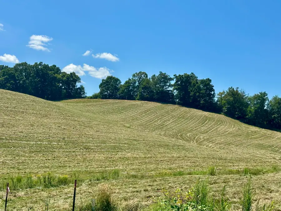 133 Jaguar Way, London, KY 40741 - Image #2