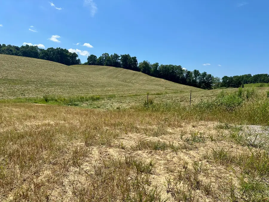 133 Jaguar Way, London, KY 40741 - Image #3