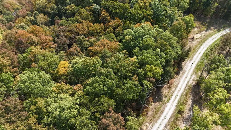 Lot 95 Sandstone Point, Monticello, KY 42633 - Image #3