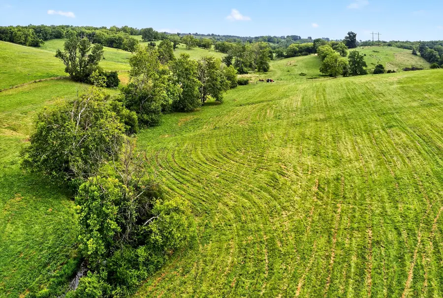 3056 Irvine Road, Winchester, KY 40391 - Image #3