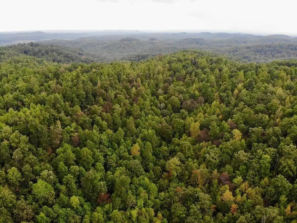 3680 Copper Creek Road, Berea, KY 40403 - Image #1