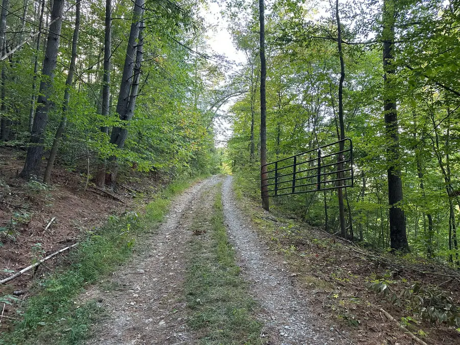 1335 Greenbrier Road, Wallingford, KY 41093 - Image #2