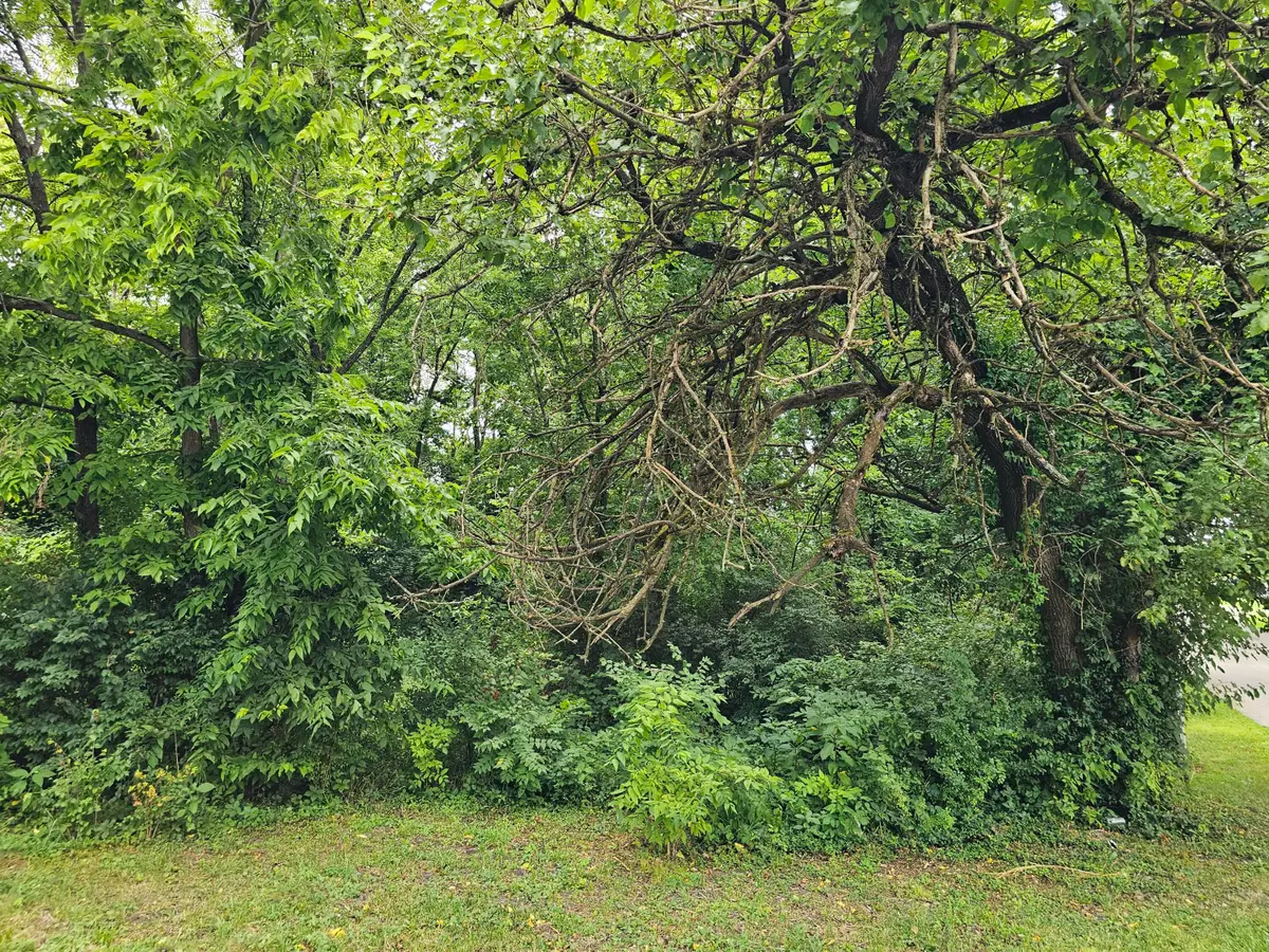 538 Lincoln Street, Lawrenceburg, KY 40342 - Image #1