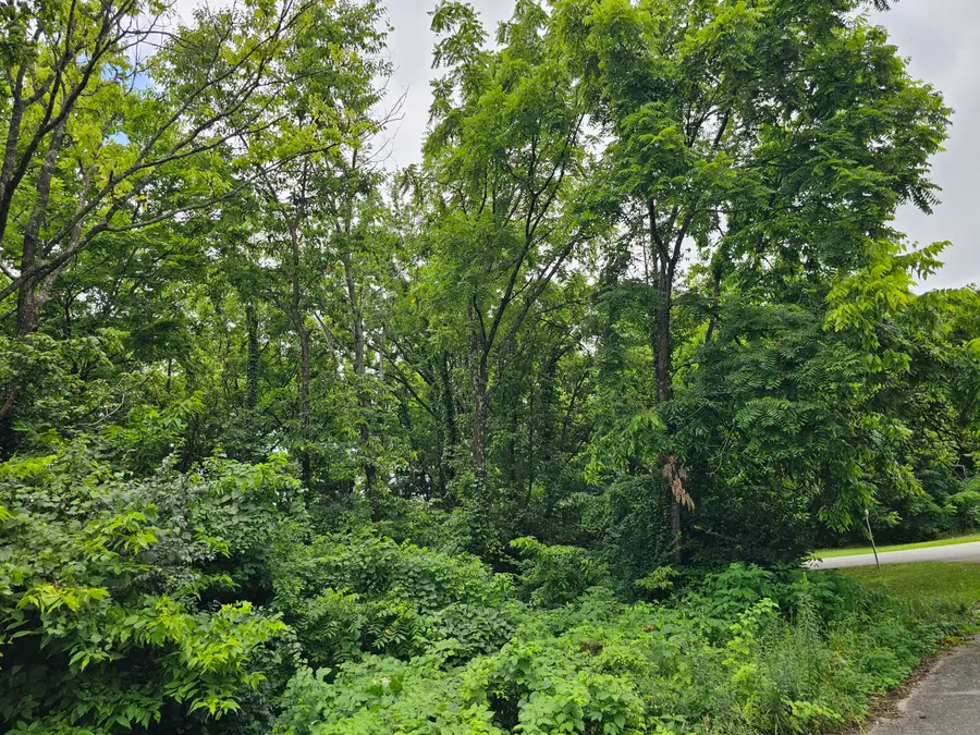 538 Lincoln Street, Lawrenceburg, KY 40342 - Image #2