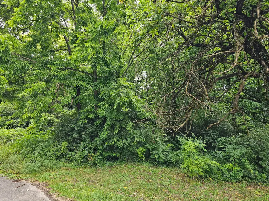 538 Lincoln Street, Lawrenceburg, KY 40342 - Image #3