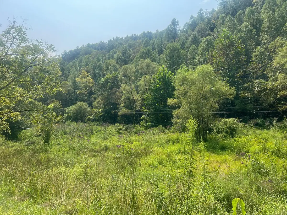 00 Kentucky Rte 3385, Prestonsburg, KY 41653 - Image #1