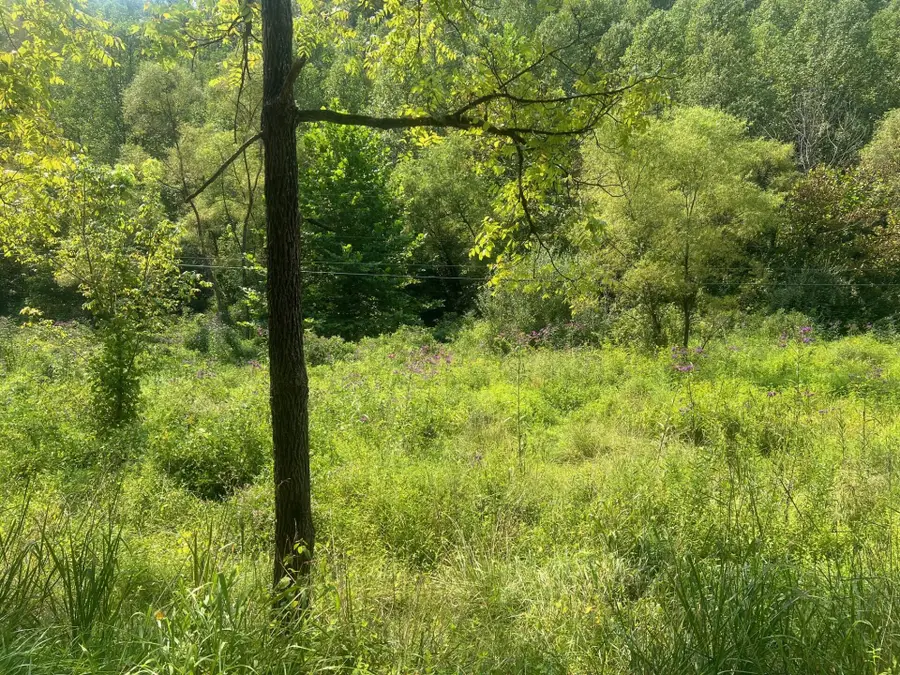 00 Kentucky Rte 3385, Prestonsburg, KY 41653 - Image #3