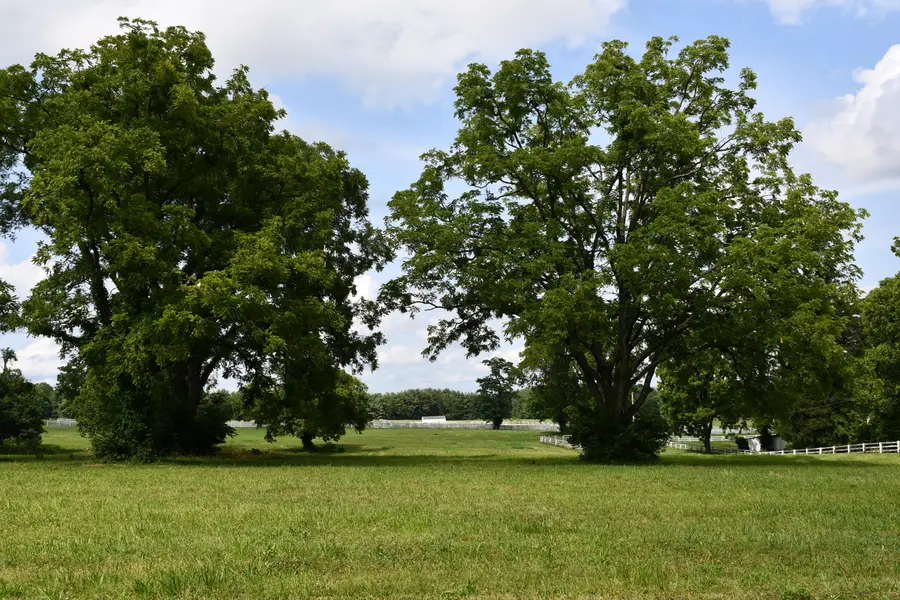 407 Country Lane, Frankfort, KY 40601 - Image #3