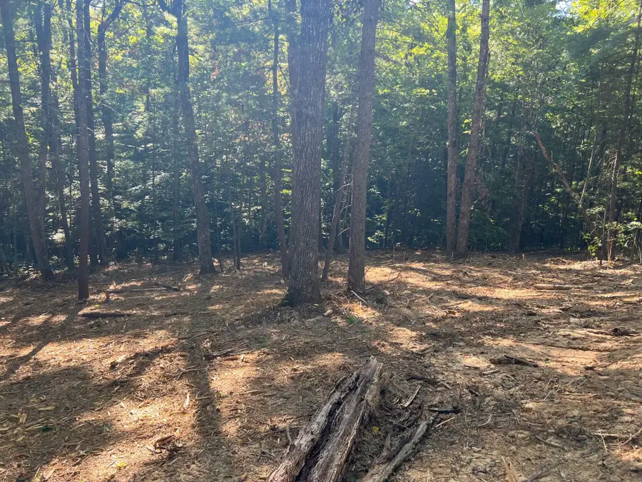 Lot 314 Highlands, Zoe, KY 41397 - Image #3