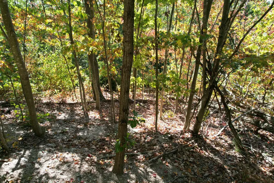 0 Evans Sisters Road, Flemingsburg, KY 41041 - Image #3