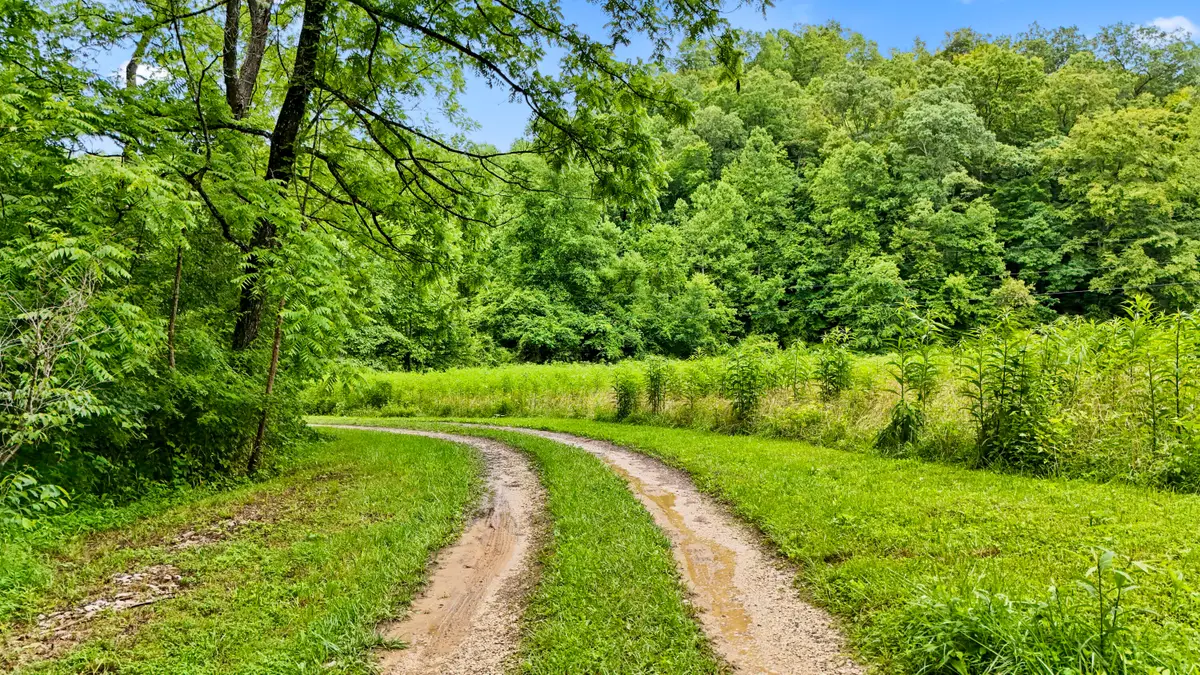 1235 Greenbrier Branch Road, Campton, KY 41301 - Image #1