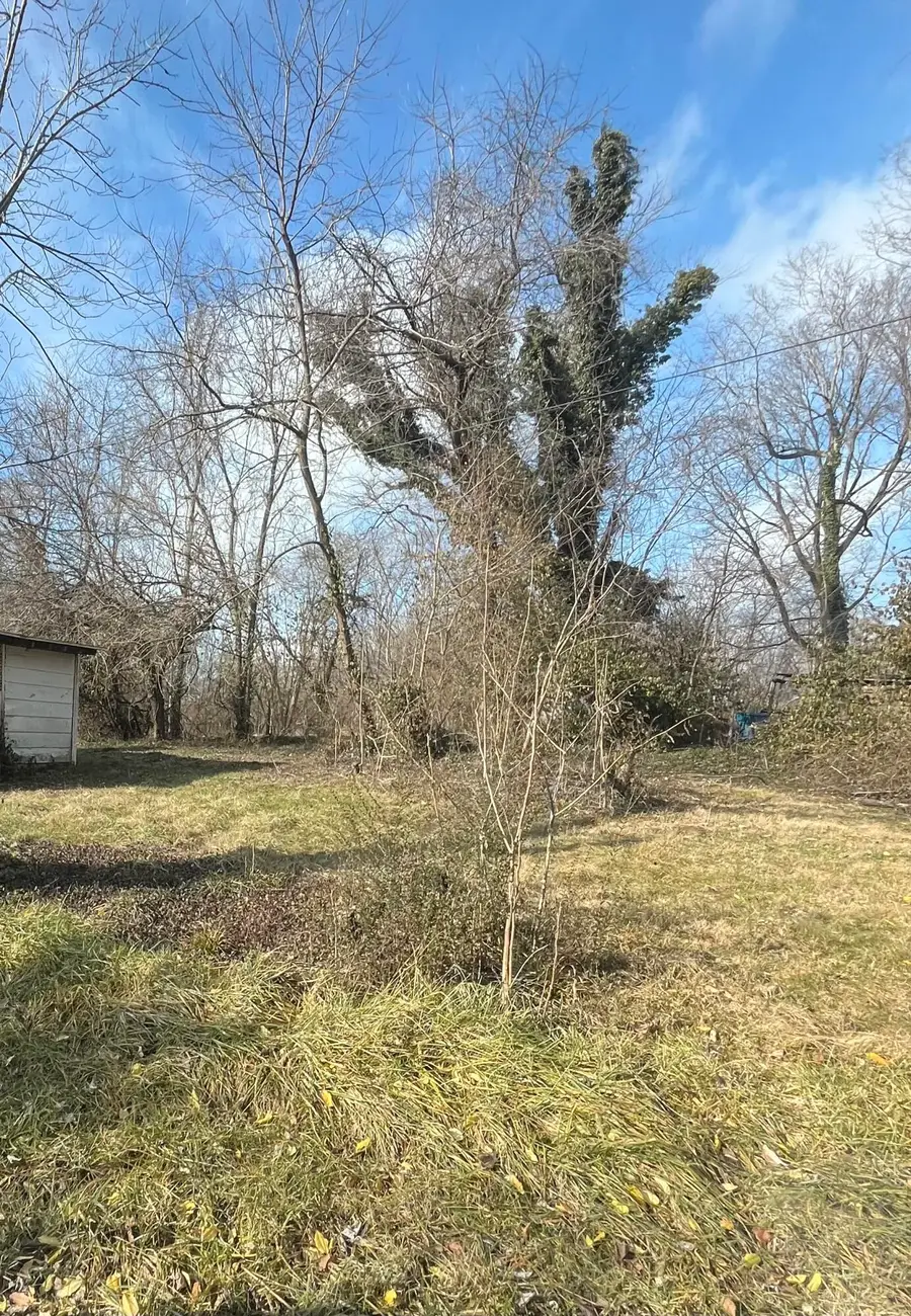 55 Ohio Street, Shelbyville, KY 40065 - Image #3