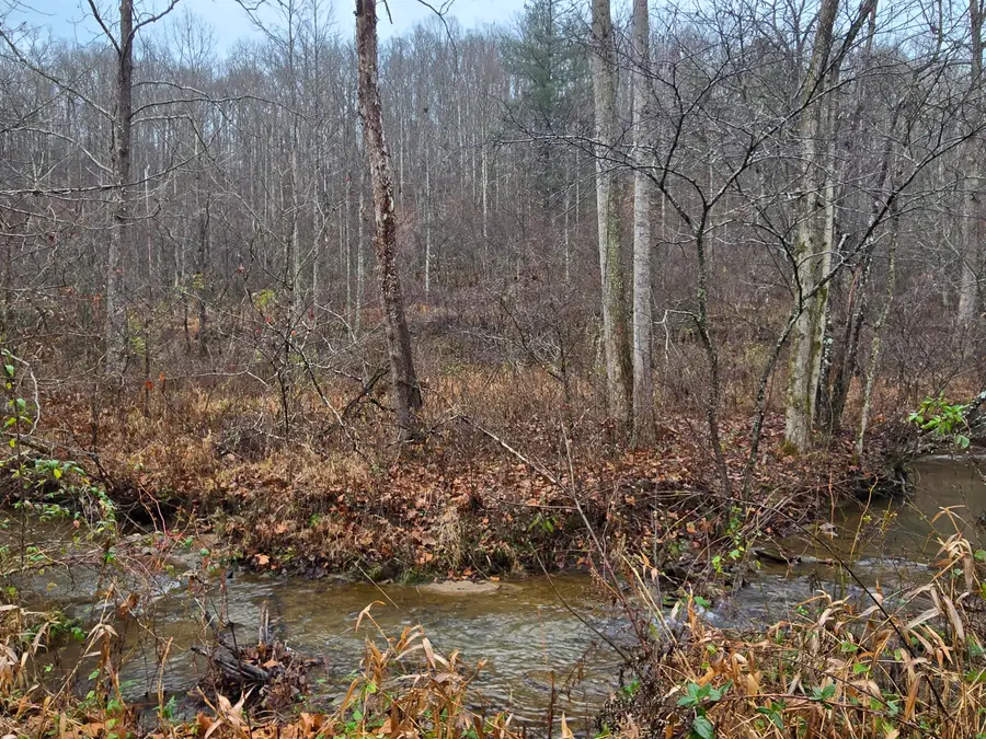 1,2,3,4 High Rock Road, Stanton, KY 40380 - Image #2