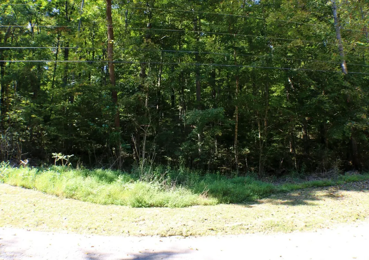 406 Harmony Lane, Burnside, KY 42519 - Image #1