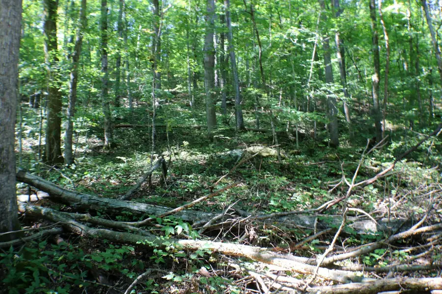 406 Harmony Lane, Burnside, KY 42519 - Image #2