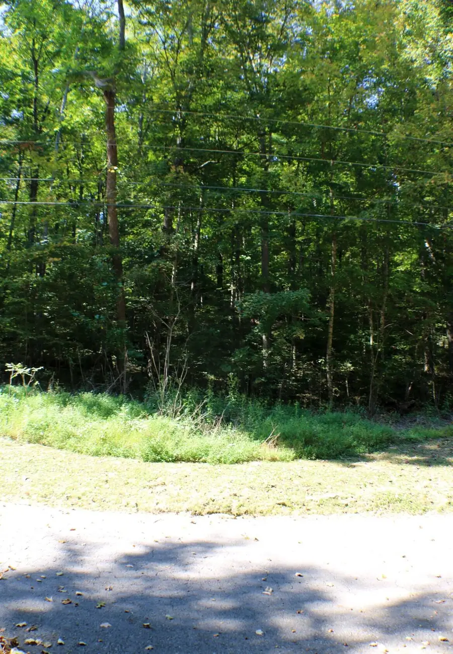 406 Harmony Lane, Burnside, KY 42519 - Image #3