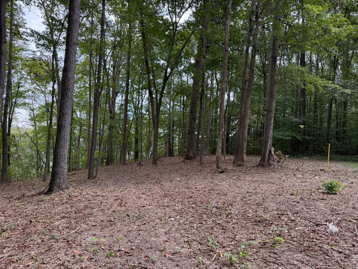 Lot 7 & 8 Whittle Lane, Russell Springs, KY 42642 - Image #1