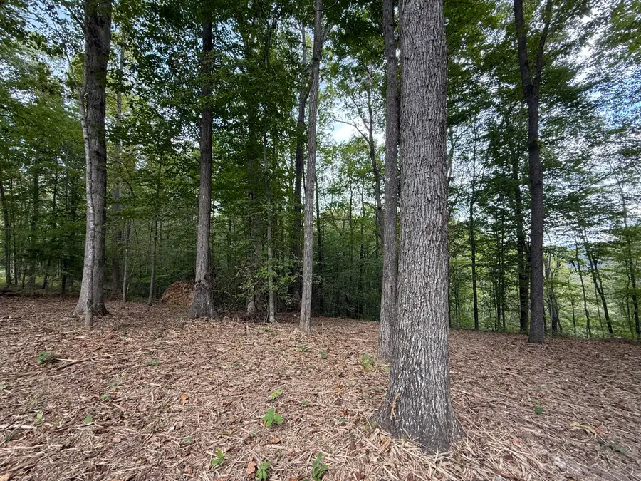 Lot 7 & 8 Whittle Lane, Russell Springs, KY 42642 - Image #3