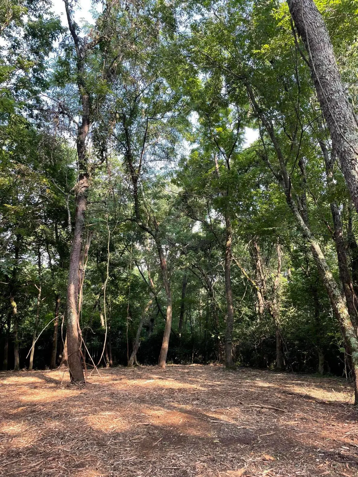 4091 Akin Lane, Burlington, KY 41005 - Image #1