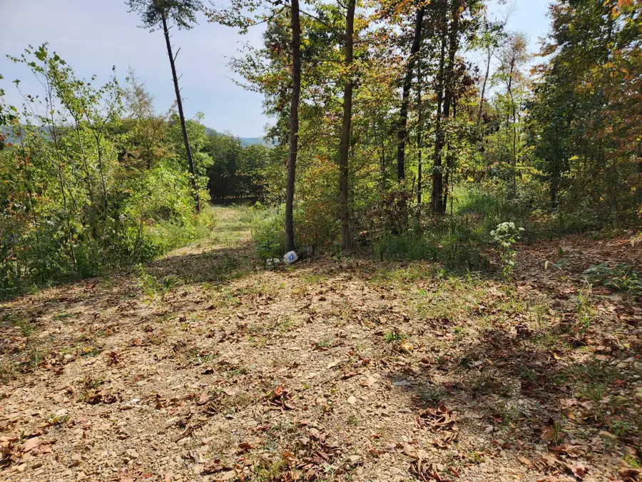 Lot #3 Routt Road, Wallingford, KY 41093 - Image #2