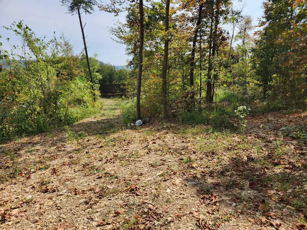 Lot #3 Routt Road, Wallingford, KY 41093 - Image #1
