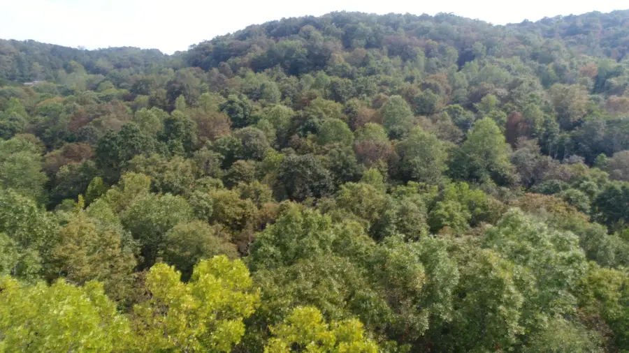 15001 South Hwy 27, Burnside, KY 41519 - Image #3