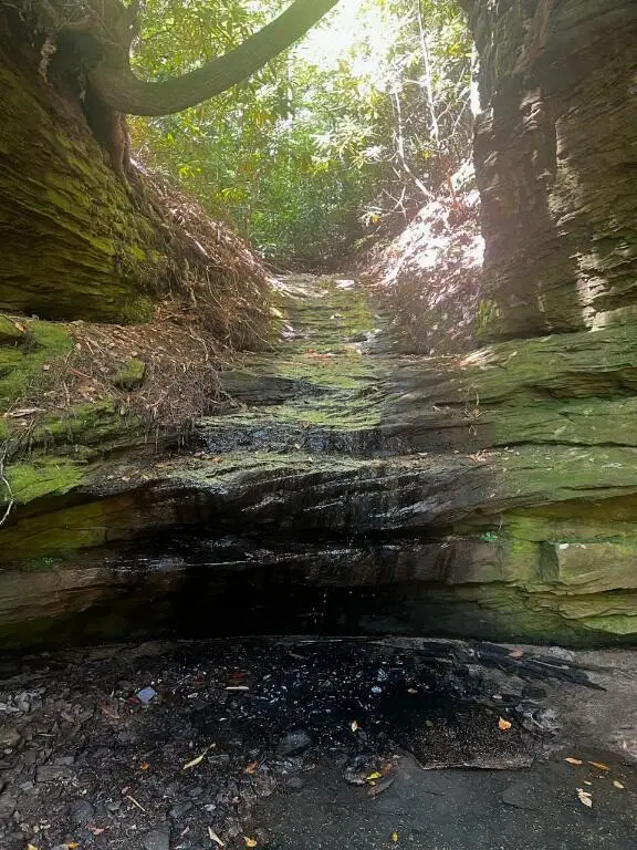 999 Wicked Oak Road, Campton, KY 41301 - Image #1