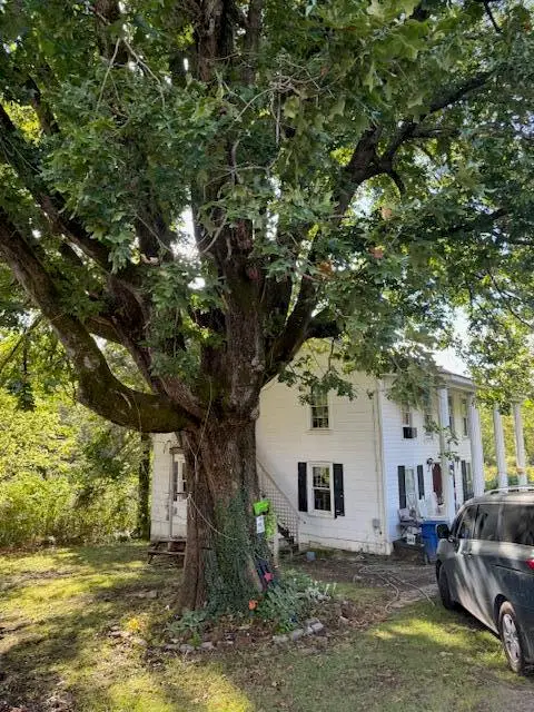 138 Tim Stephens Road, Stearns, KY 42647 - Image #3