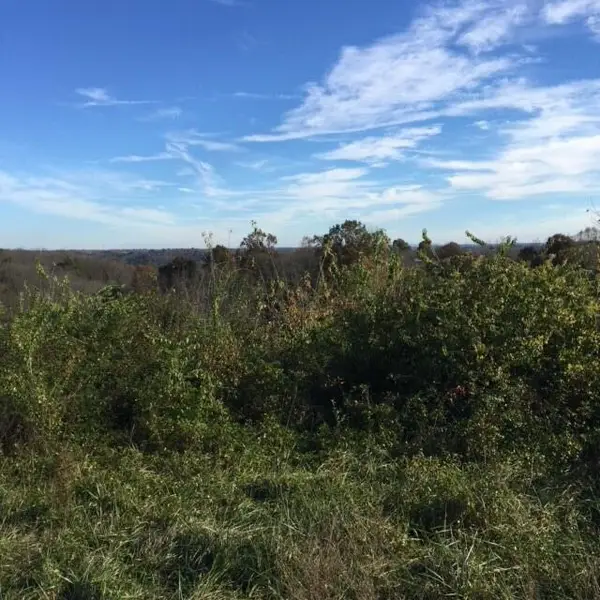 1 Johns Lane, Nicholasville, KY 40356