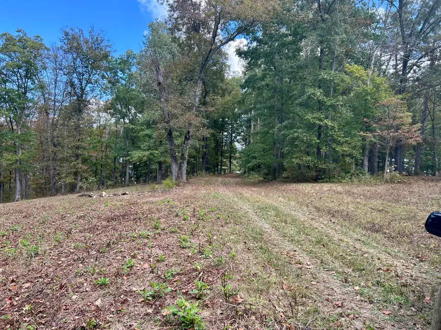 23 acres Davis Lane, Columbia, KY 42728 - Image #3